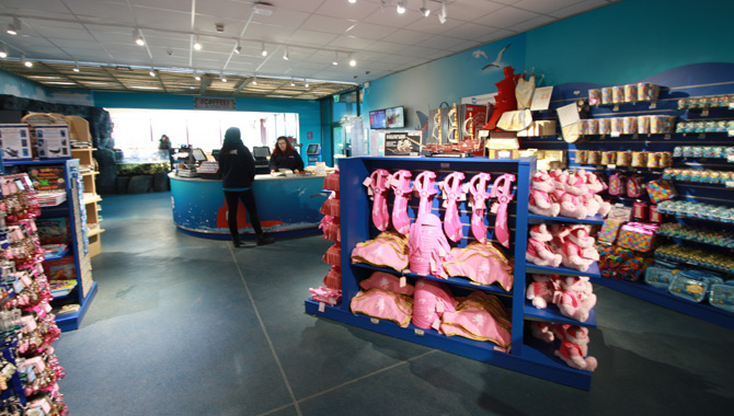 SEA LIFE Centre Hunstanton Interior Photograph