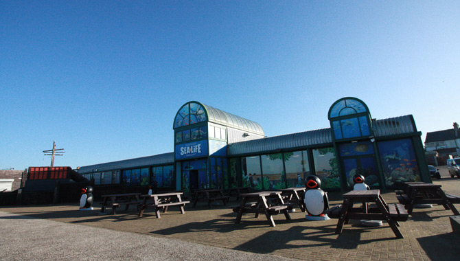 SEA LIFE Centre Hunstanton Interior Photograph