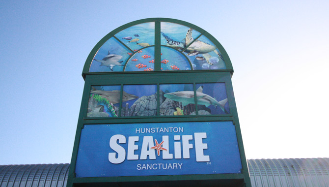 SEA LIFE Centre Hunstanton Interior Photograph