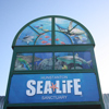 SEA LIFE Centre Hunstanton Interior Photograph